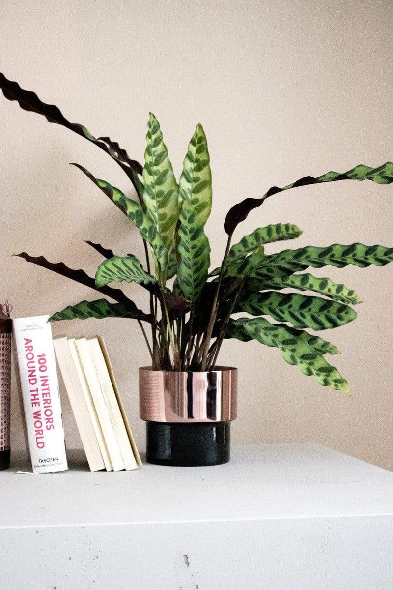 LaLe Living Blumentopf "Bakir" aus Kupfer mit Schwarz, Ø13,5x13cm Muttertagsangebot