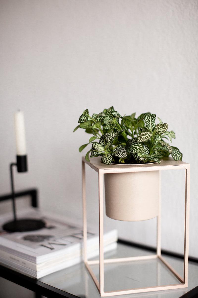 LaLe Living Blumentopf Lida aus Eisen in Olive, Ø16 cm Cyber Monday