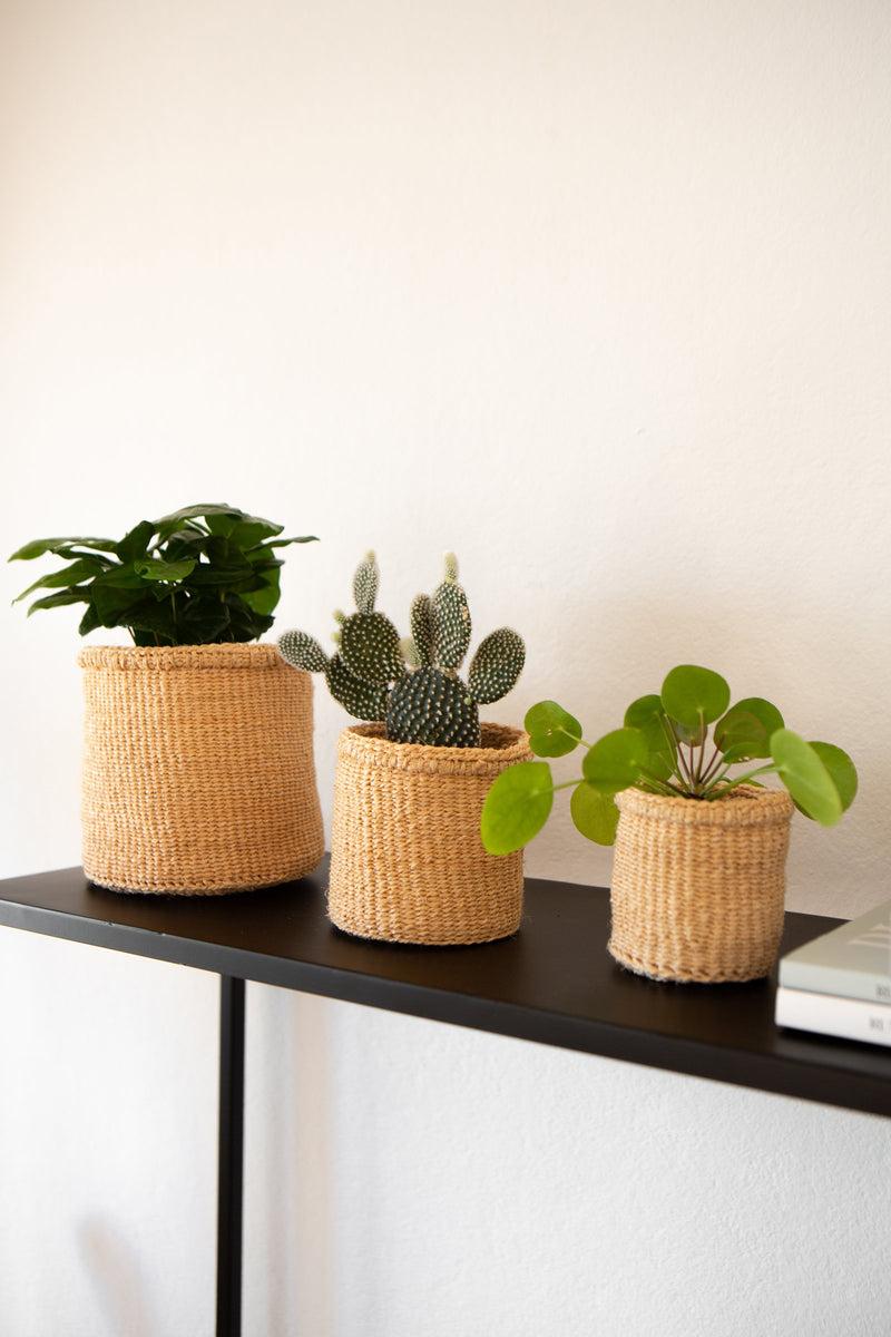 LaLe Living 3er Korbset Elani in Natur aus Sisal Online Outlet
