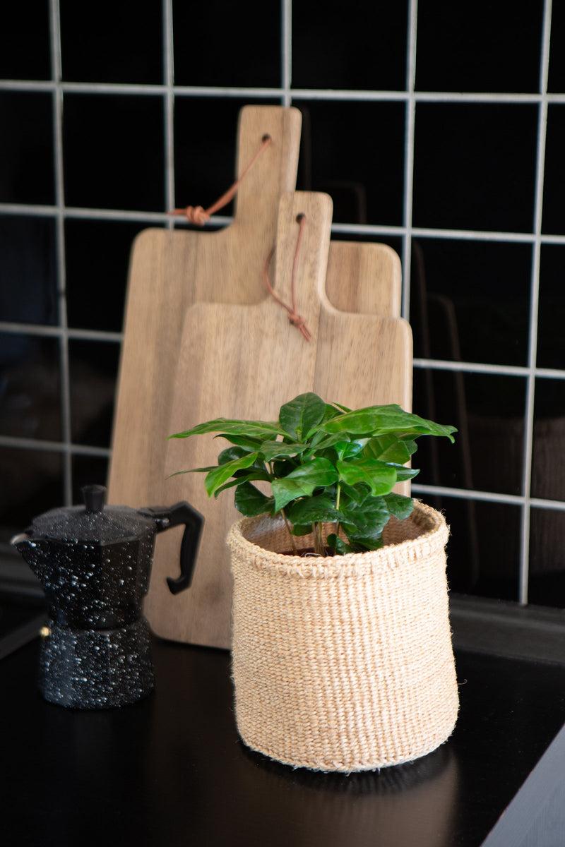 LaLe Living 3er Korbset Elani in Natur aus Sisal Online Outlet