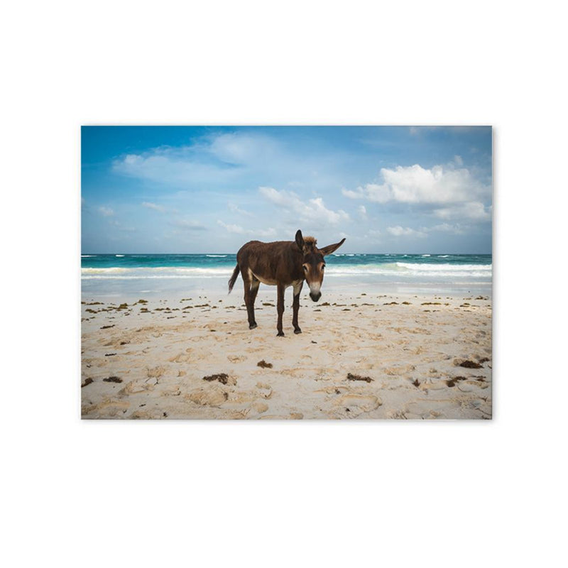 LaLe Living Bild Leinwanddruck Esel am Strand A4 21x30cm Günstig kaufen