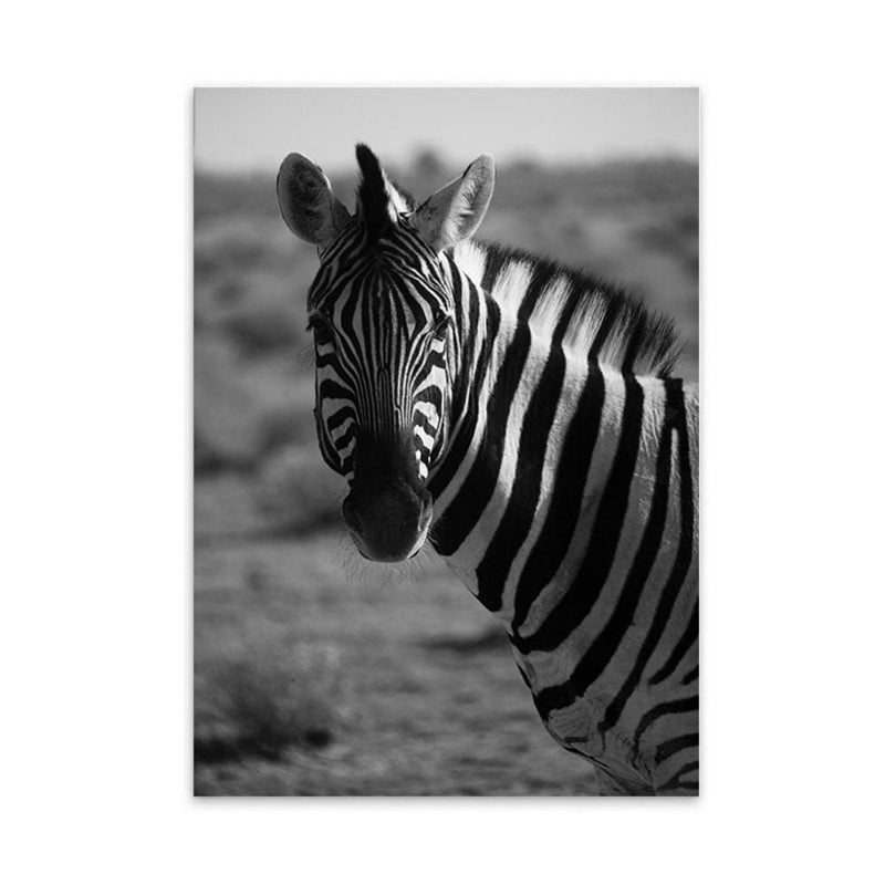 LaLe Living Bild Leinwanddruck Zebra Schwarz/Weiß A4 21x30cm Versandkostenfrei