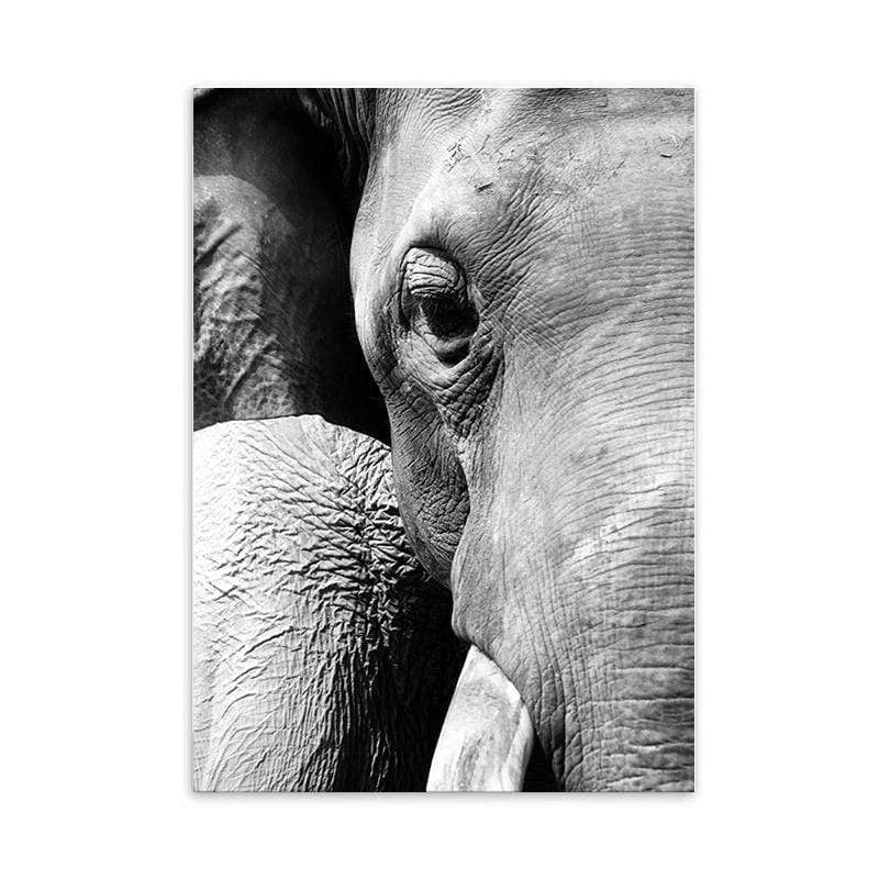 LaLe Living Bild Leinwanddruck mit Elefant A4 21x30cm Flash Sale