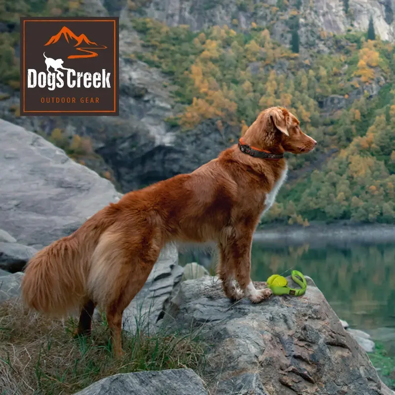 fressnapf Dogs Creek Geschirr Pathfinder schwarz S Osterangebot