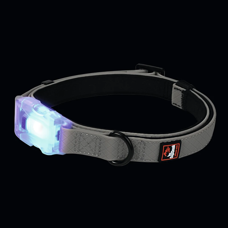 fressnapf Dogs Creek Leuchthalsband Polar Light S Top Angebot