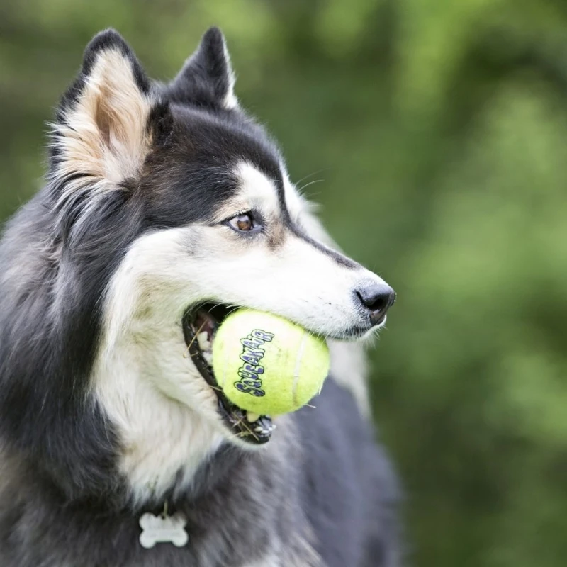 fressnapf KONG Squeakair Tennisball XS Hotsell