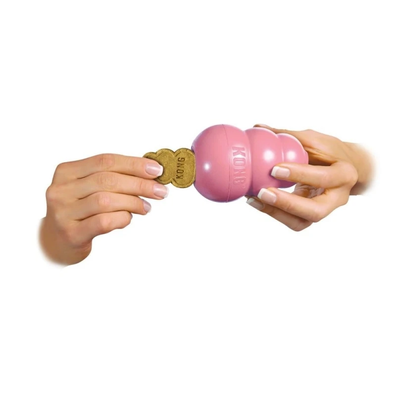 fressnapf KONG Welpenspielzeug Puppy S Fabrikverkauf