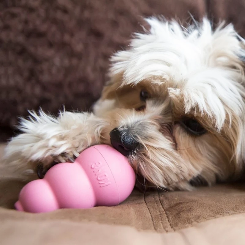 fressnapf KONG Welpenspielzeug Puppy S Fabrikverkauf