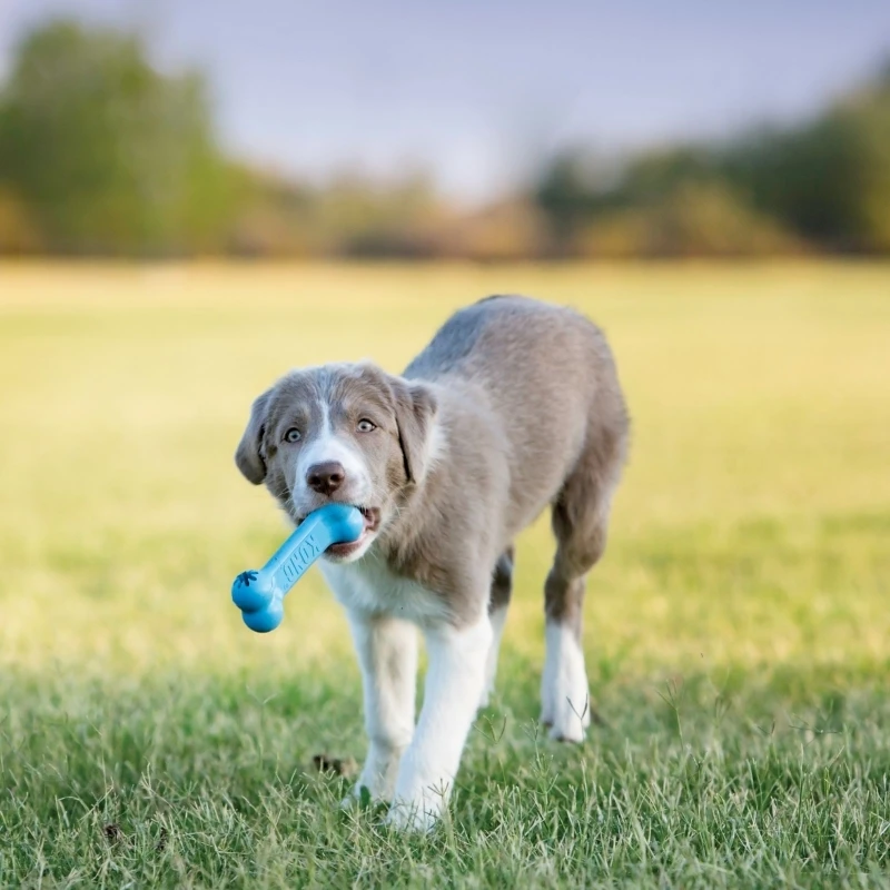 fressnapf KONG Goodie Bone Puppy Großer Ausverkauf
