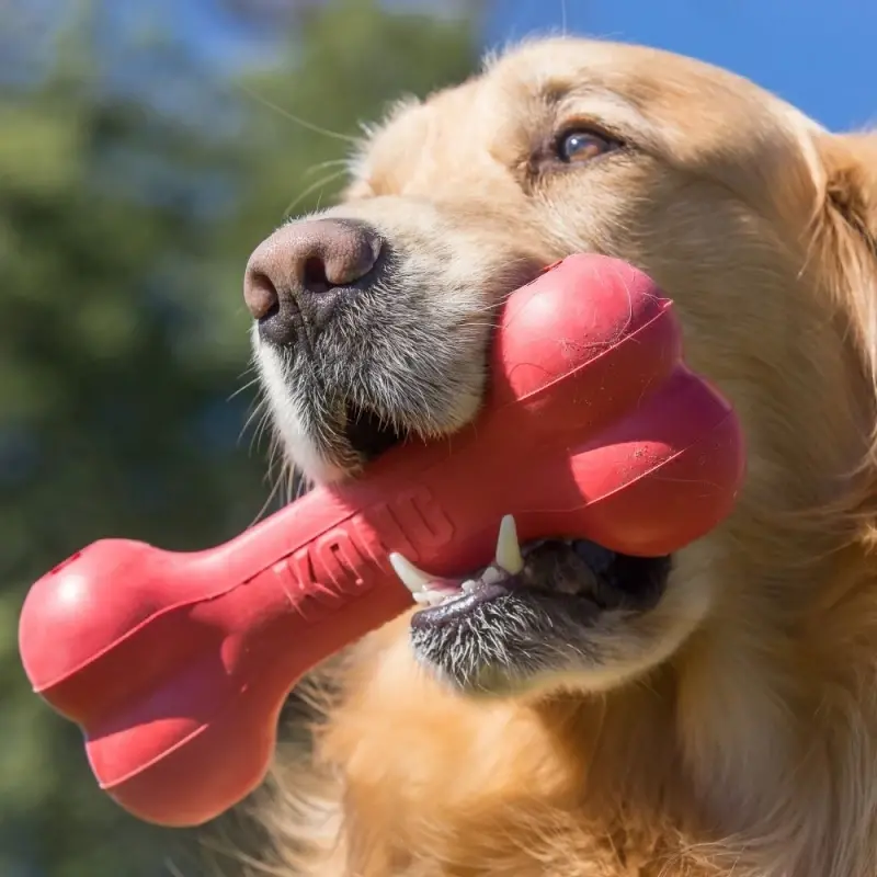fressnapf KONG Goodie Bone Classic Bestseller