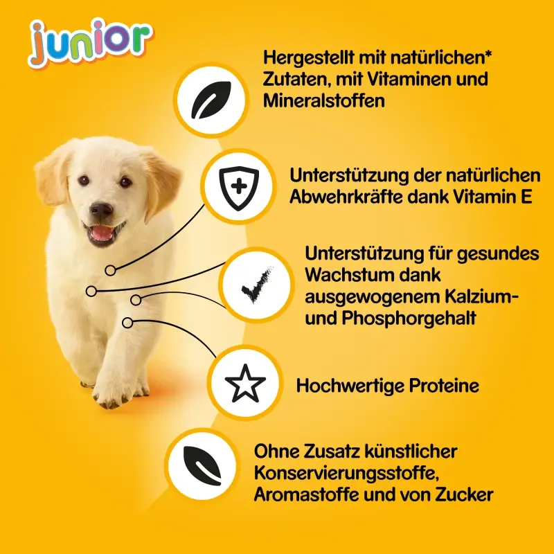 fressnapf Pedigree Junior 12x400g Auslauf