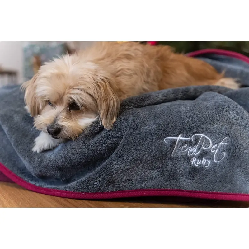 fressnapf TrendPet Ruby Trockungsdecke grau XS Black Friday