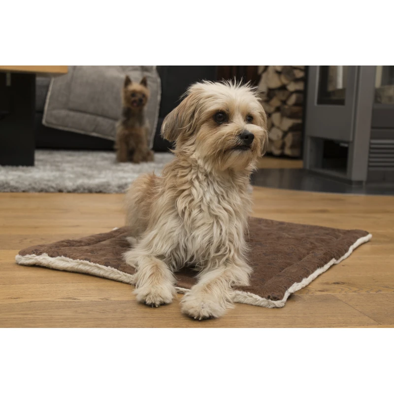 fressnapf TrendPet Relax Kuscheldecke braun XS Osterangebot