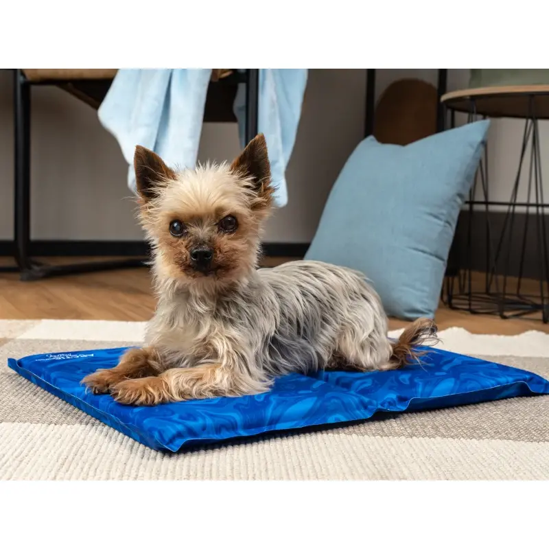 fressnapf TrendPet Arctic Comfort 20 mm premium Kühlmatte blau XS Valentinstagsangebot