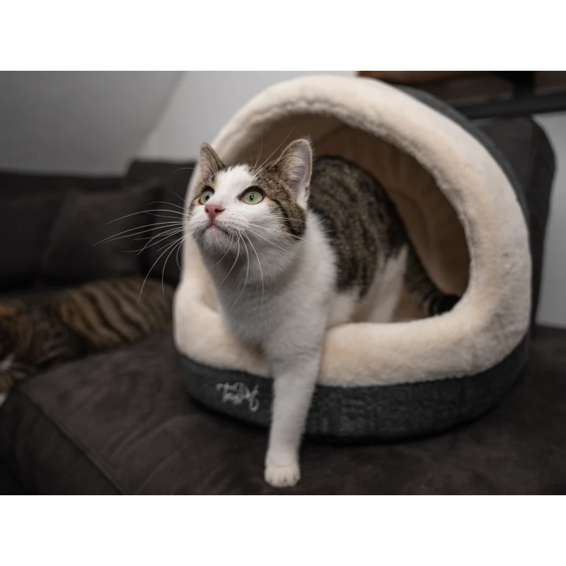 fressnapf TrendPet LunaHome Kuschelhöhle beige S Jubiläumsangebot