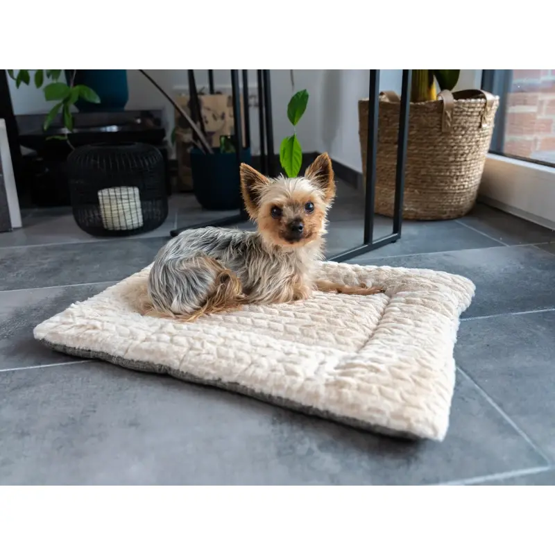 fressnapf TrendPet Heaven gefütterte Liegedecke beige XS Lagerräumung