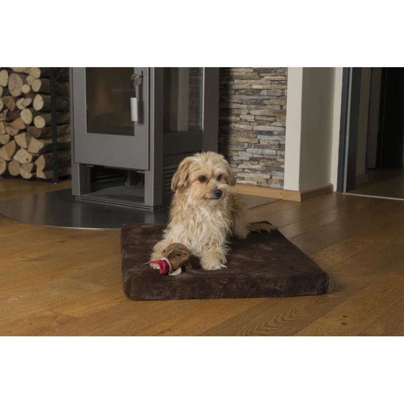 fressnapf TrendPet VitaMedog orthopädische 5 cm Matratze braun XS Top Angebot