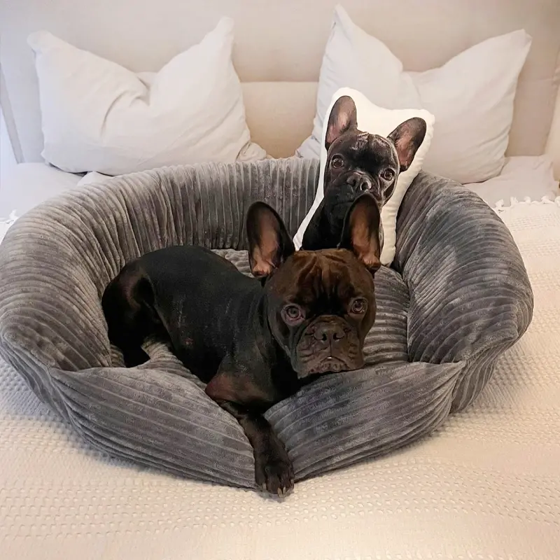 fressnapf Wallace & Jones Hundebett Cordo dunkelgrau S Saisonale Angebote