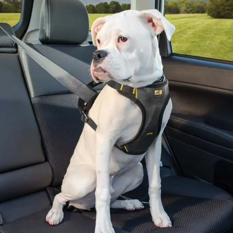 fressnapf Kurgo Autogeschirr Impact Seatbelt S Bis zu 55% Rabatt