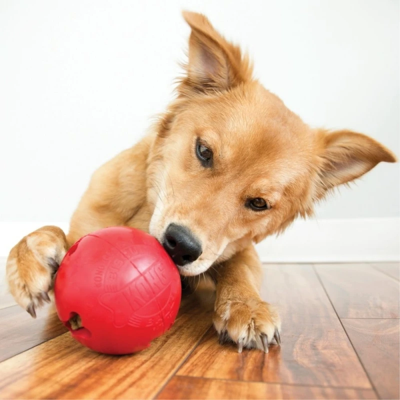 fressnapf KONG Biscuit Snack-Ball S Fabrik Onlineshop