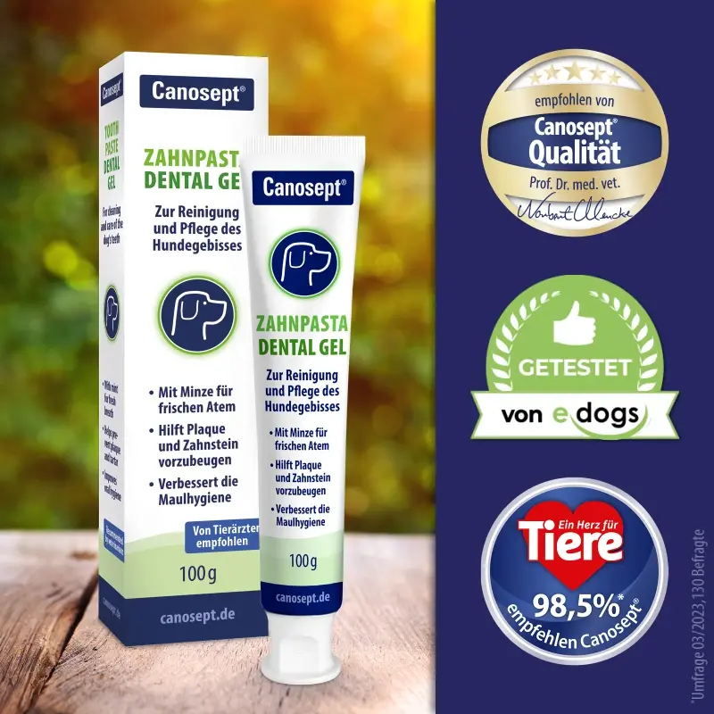 fressnapf Canosept Zahnpflege Dental Gel 100g Fabrikpreis