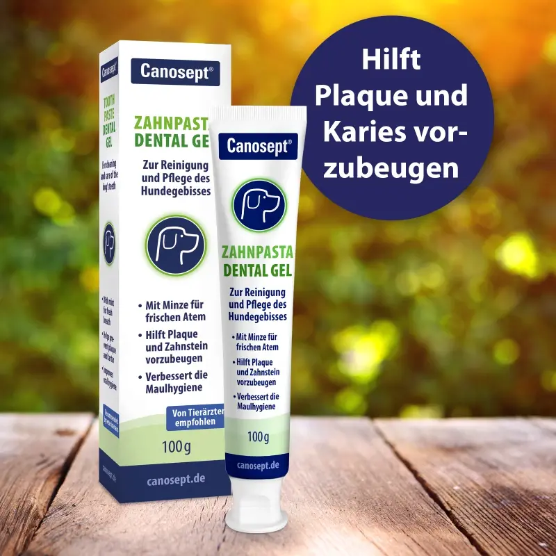 fressnapf Canosept Zahnpflege Dental Gel 100g Fabrikpreis
