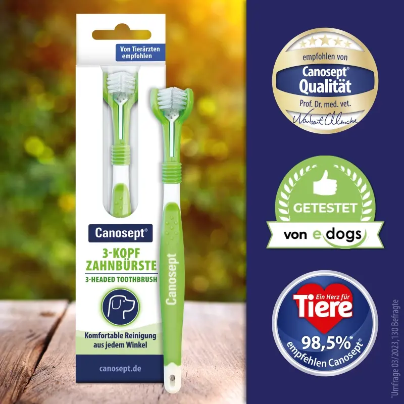 fressnapf Canosept 3-Kopf-Zahnbürste Sonderangebot