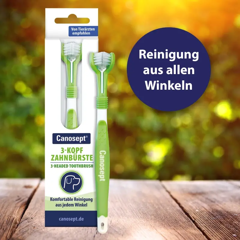 fressnapf Canosept 3-Kopf-Zahnbürste Sonderangebot