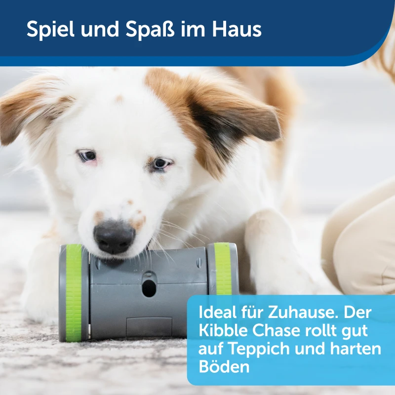 fressnapf PetSafe Selbstbewegendes Belohnungsspielzeug Kibble Chase Preisnachlass