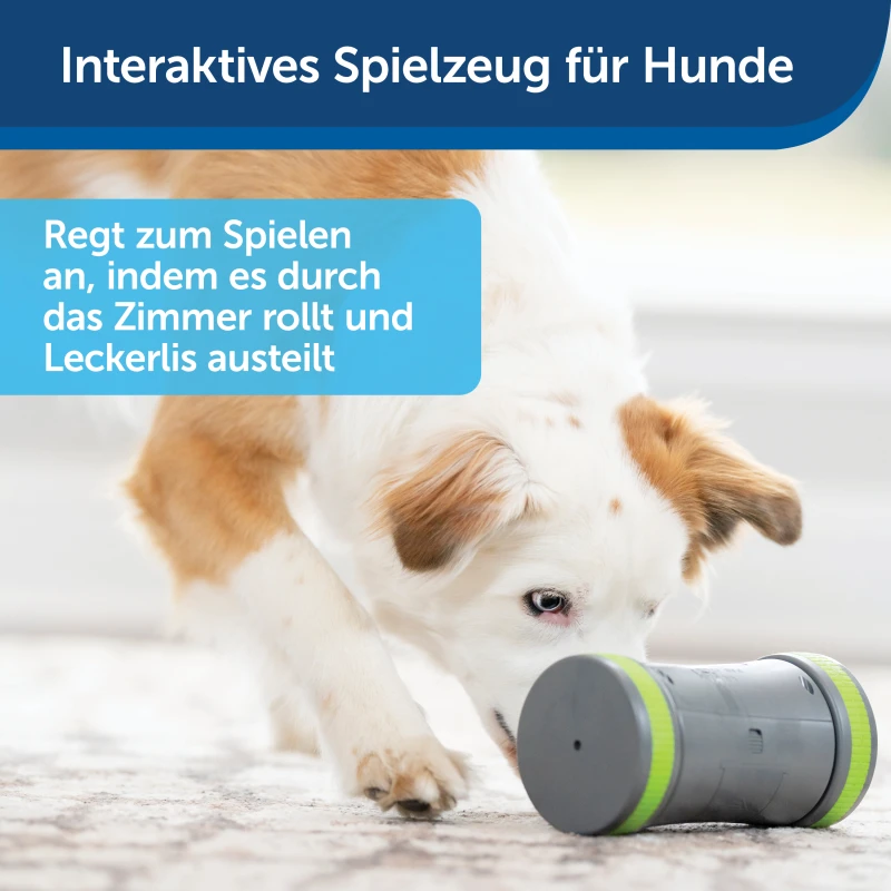 fressnapf PetSafe Selbstbewegendes Belohnungsspielzeug Kibble Chase Preisnachlass