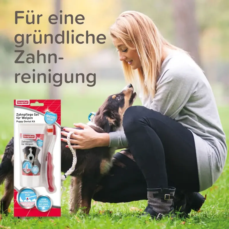 fressnapf Beaphar Zahnpflege Set für Welpen Heißer Verkauf