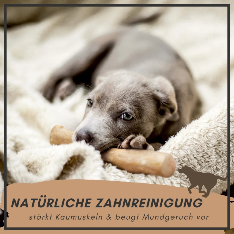 fressnapf Supravit Kaffeeholz - natürliches Kauspielzeug Neueste Mode