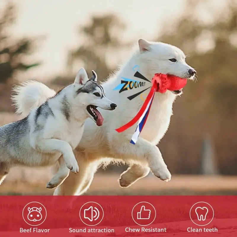 fressnapf Petsation Kauspielzeug Rocket rot Zeitlich begrenztes Angebot