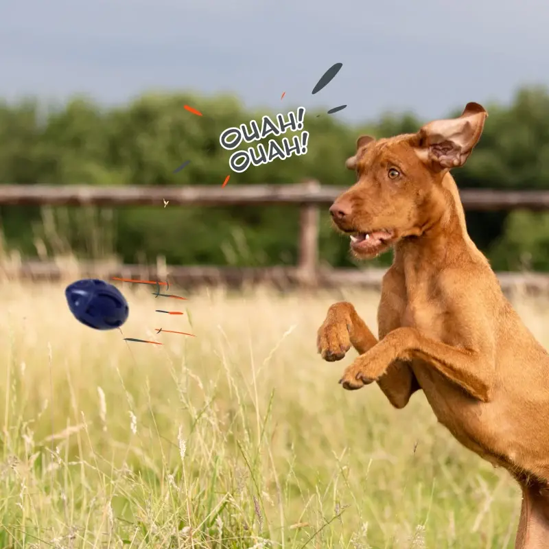 fressnapf Petsation Kauspielzeug Ball blau Exklusive Angebote