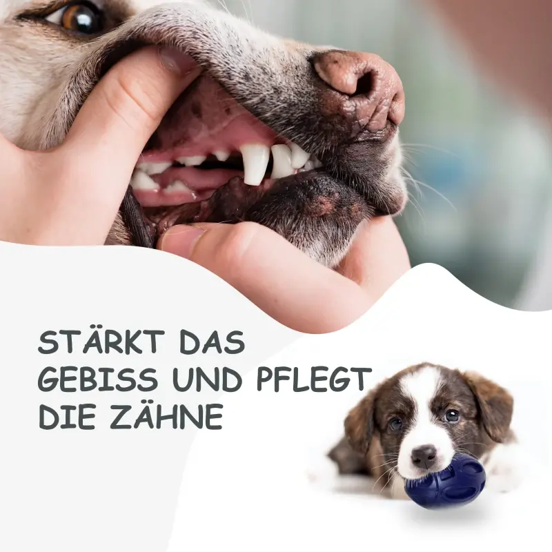 fressnapf Petsation Kauspielzeug Ball blau Exklusive Angebote