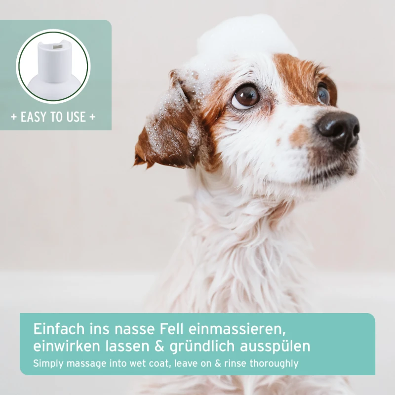 fressnapf AniForte Welpen Shampoo Aloe Vera 200ml Räumungsverkauf