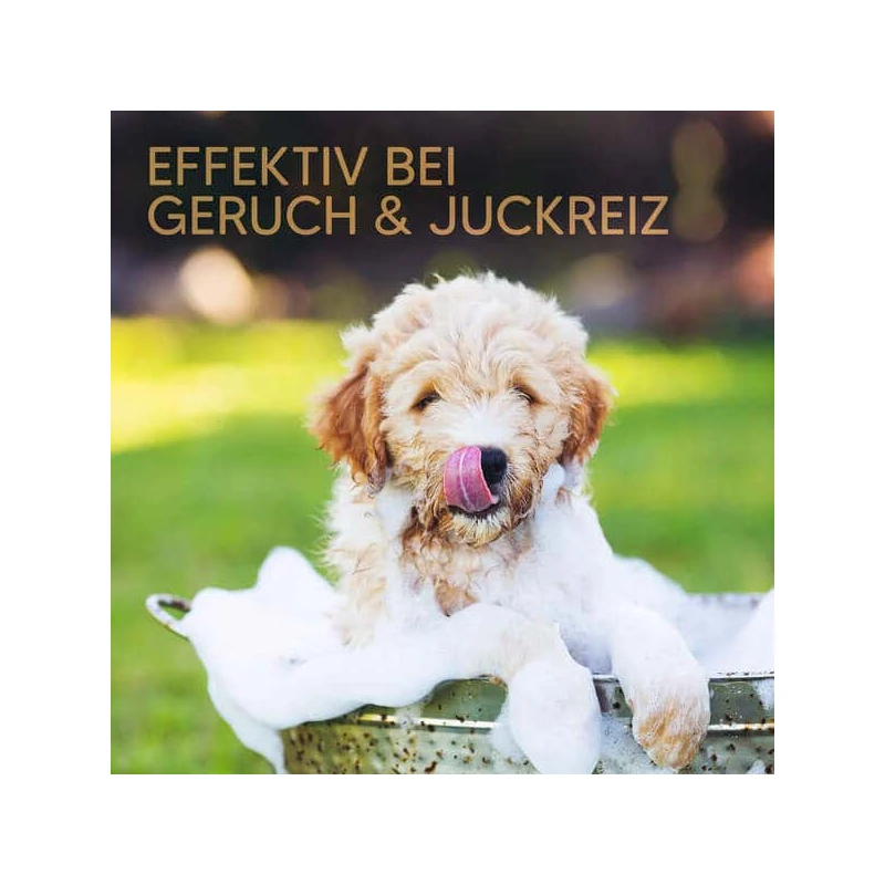 fressnapf Pawlie's Welpenshampoo Kauf eins, bekomm eins gratis