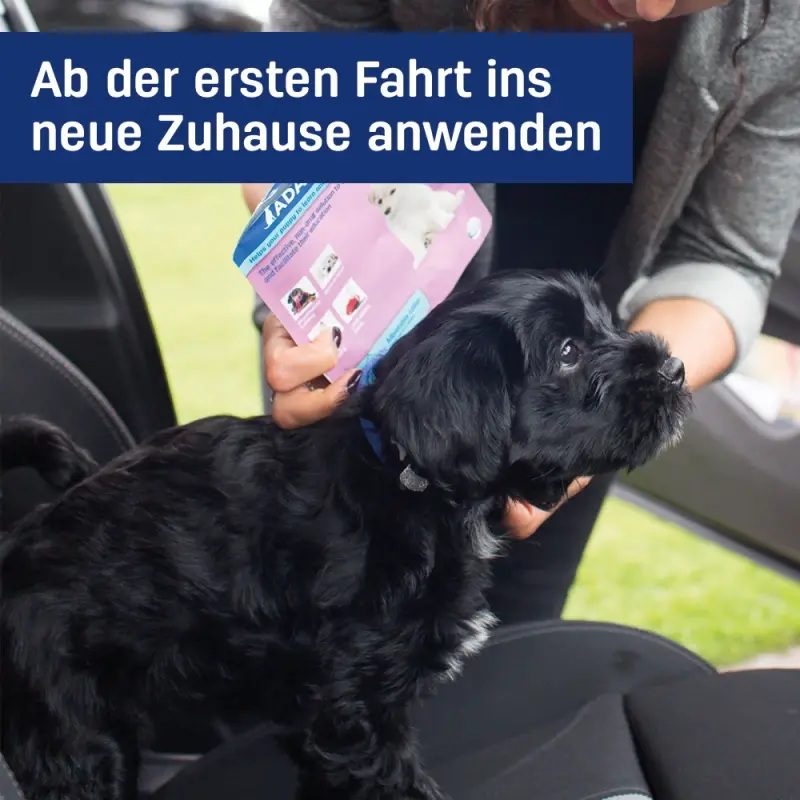 fressnapf ADAPTIL Junior Halsband Anti Stress Erziehungshalsband Im Verkauf