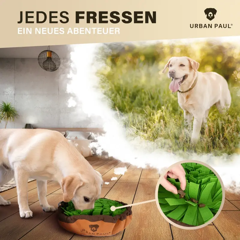 fressnapf URBAN PAUL Schnüffelteppich - grün 2025