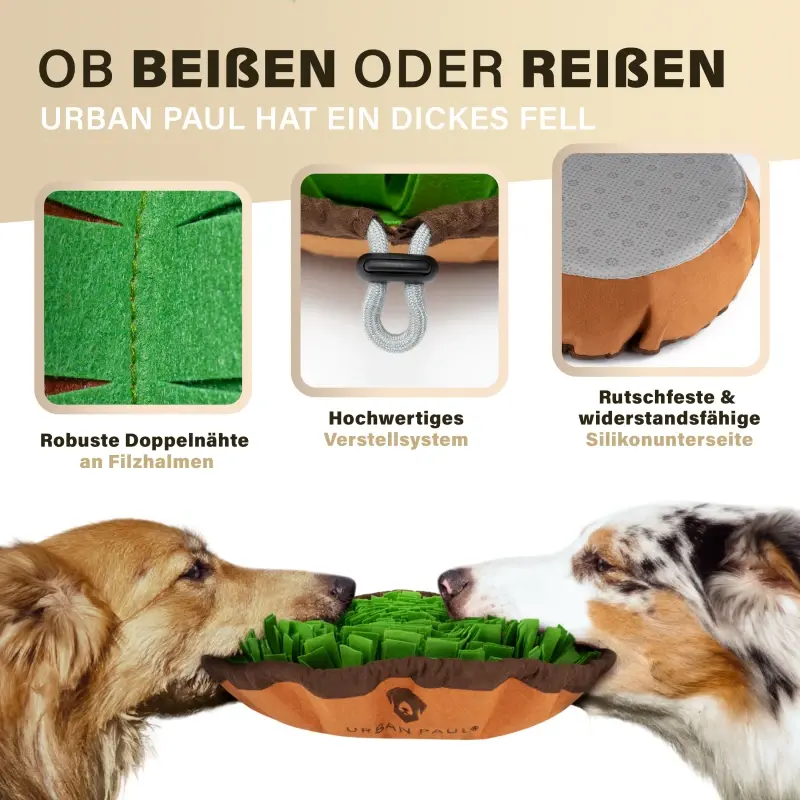 fressnapf URBAN PAUL Schnüffelteppich - grün 2025