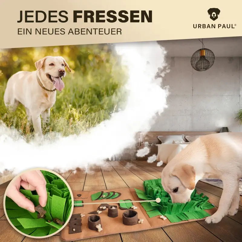 fressnapf URBAN PAUL Schnüffelteppich - extra groß Online