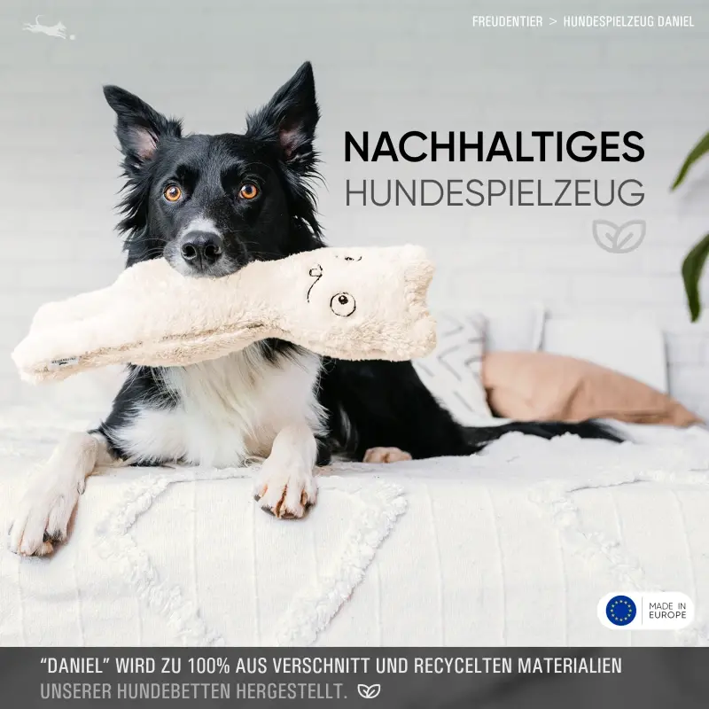 fressnapf Freudentier nachhaltiges Hundespielzeug Daniel Outlet