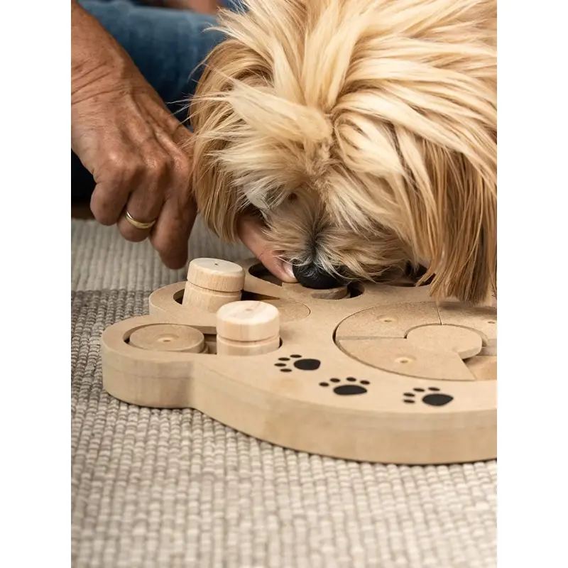 fressnapf TrendPet Intelligenzspielzeug Intelli Auslauf