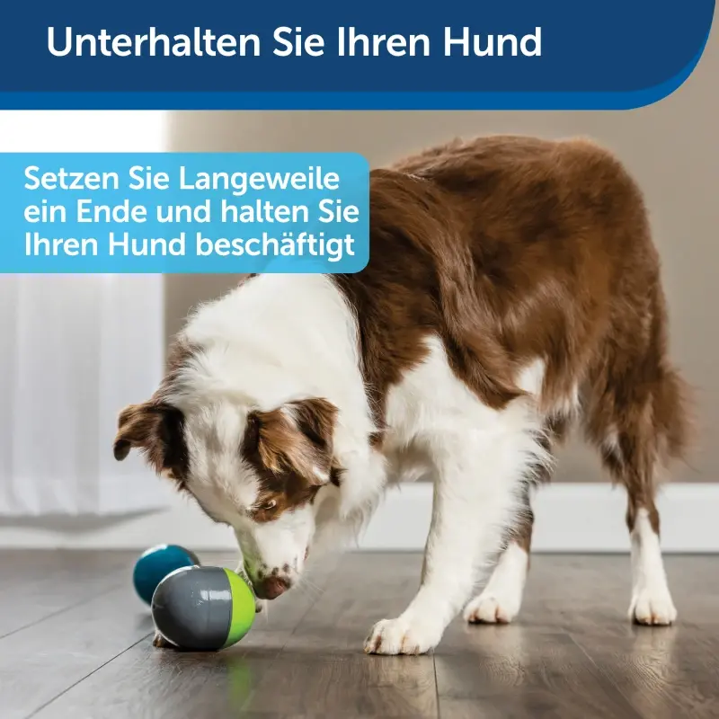 fressnapf PetSafe Elektronisches Hundespielzeug Ricochet Hotsell