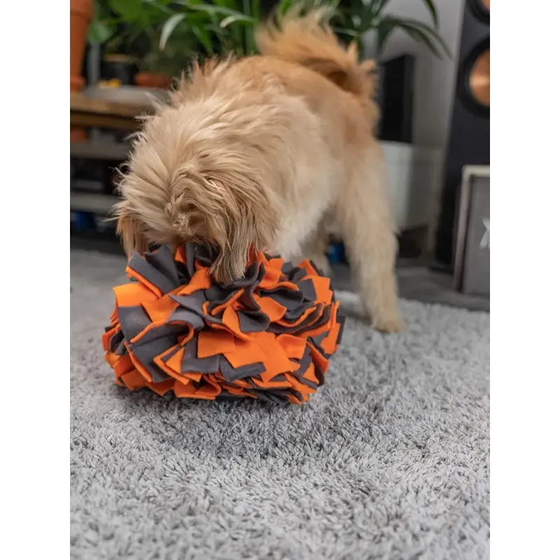 fressnapf TrendPet Schnüffelball orange Schlussverkauf