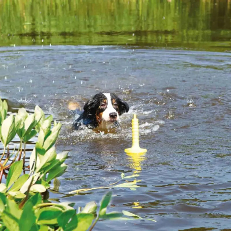 fressnapf Trixie Aqua Toy MOT®-Aqua Fabrikpreis