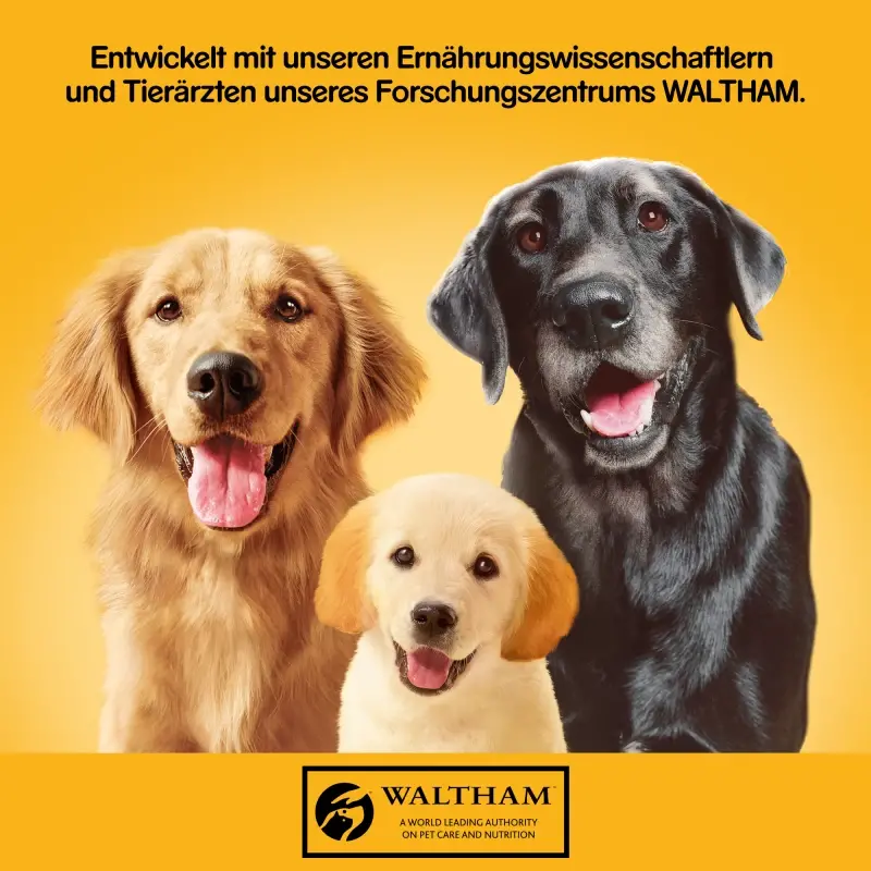 fressnapf Pedigree Classic 12x800 g 3 Sorten Geflügel VIP-Rabatte