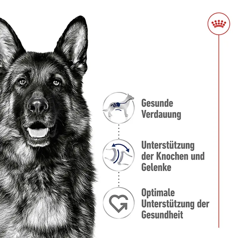 fressnapf ROYAL CANIN Maxi Adult 15 kg JETZT KAUFEN