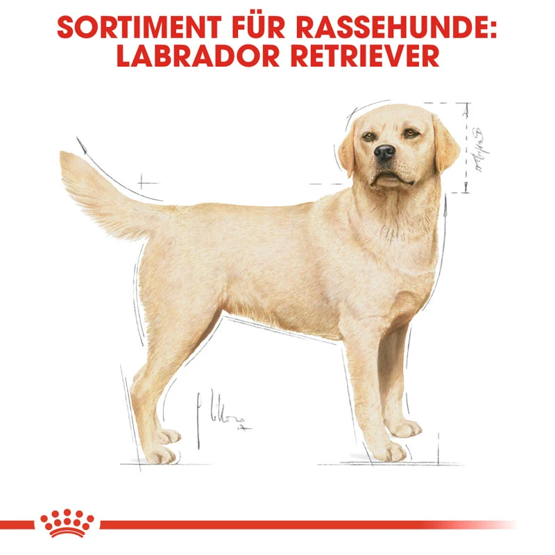 fressnapf ROYAL CANIN Labrador Retriever Adult 3 kg 50% Rabatt mit kostenlosem Versand