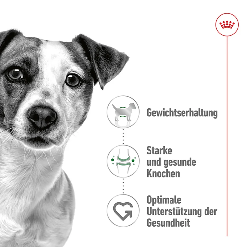 fressnapf ROYAL CANIN Mini Adult 2 kg Kostenloser Versand international